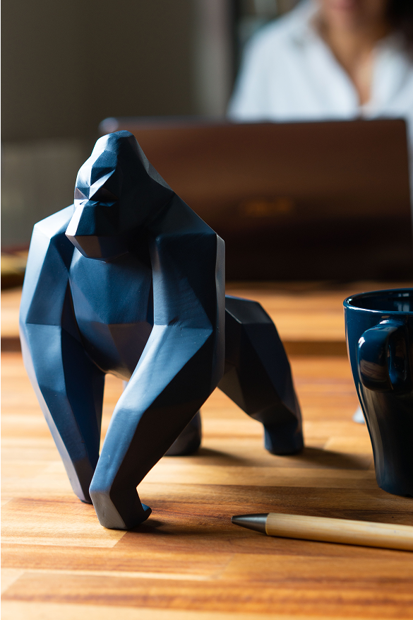 Retrouvez nous contact©Cabyne